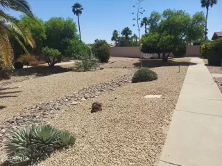 Photo #2: 6561542 Listing 