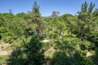 Photo #2: 6563148 Listing 