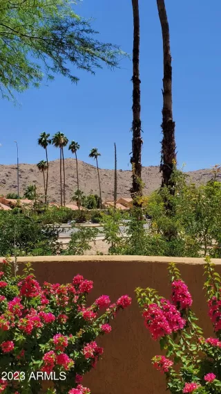 Photo #2: 6564131 Listing