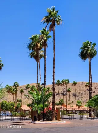 Photo #3: 6564131 Listing