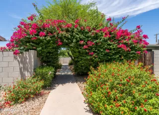 Photo #6: 6570316 Listing 