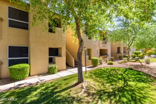 Photo #1: 6571777 Listing 