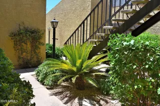 Photo #6: 6575411 Listing