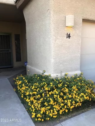 Photo #2: 6575817 Listing 