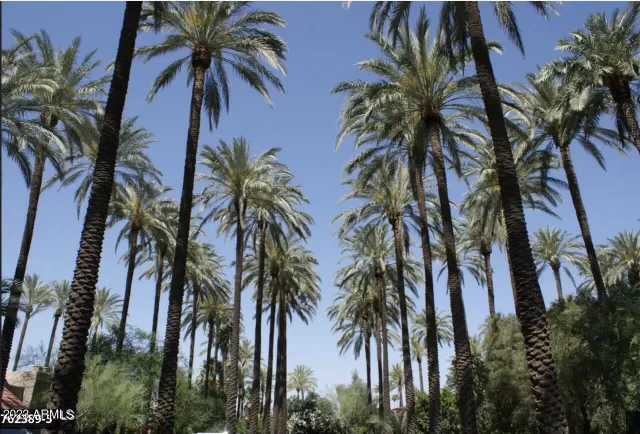 MLS: 6576313 Condo For Sale