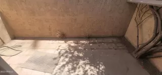 Photo #5: 6576313 Listing 