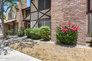 Photo #5: 6576521 Listing