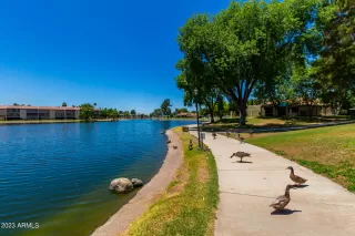 Photo #1: 6579776 Listing