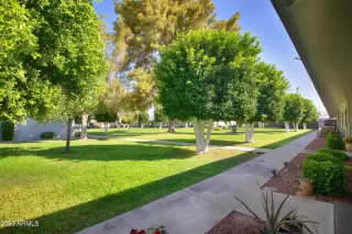 Photo #1: 6583193 Listing 