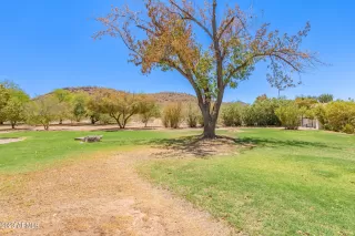 Photo #1: 6583286 Listing