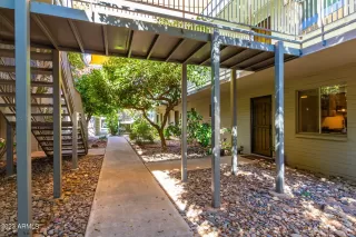 Photo #1: 6602633 Listing 