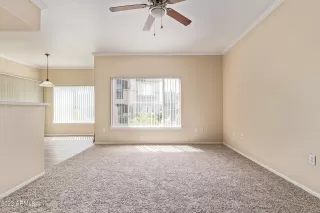 Photo #5: 6604048 Listing 