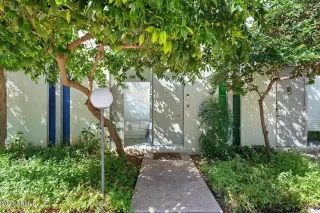 Photo #1: 6606386 Listing