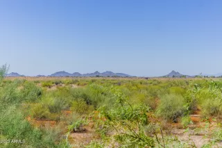 Photo #5: 6614982 Listing