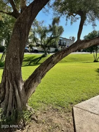 Photo #1: 6615062 Listing 