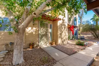 Photo #1: 6625072 Listing