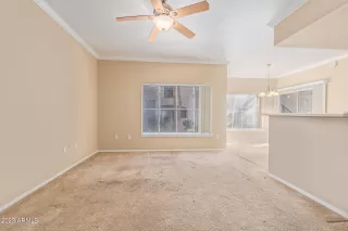 Photo #4: 6629012 Listing 