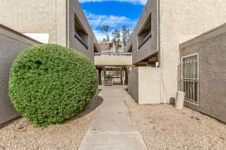 Photo #1: 6633089 Listing