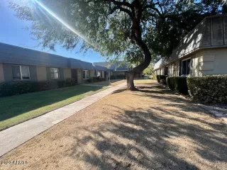 Photo #1: 6633134 Listing 