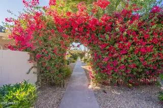 Photo #1: 6635108 Listing 