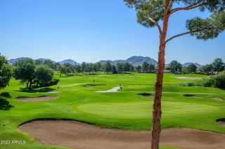 Photo #1: 6637132 Listing 