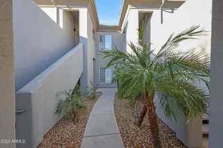 Photo #4: 6646782 Listing