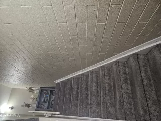 Photo #3: 6648324 Listing