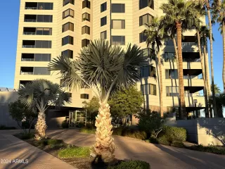 Photo #1: 6656807 Listing 