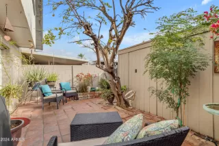 Photo #2: 6661599 Listing