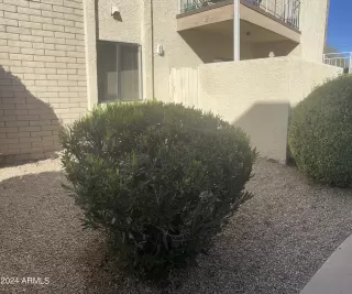 Photo #1: 6662724 Listing