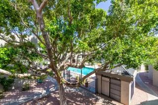 Photo #1: 6692264 Listing