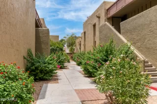 Photo #5: 6709325 Listing