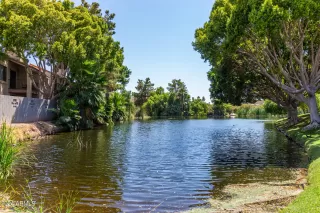 Photo #6: 6732653 Listing 