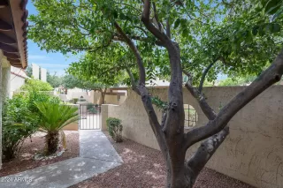 Photo #3: 6739517 Listing 