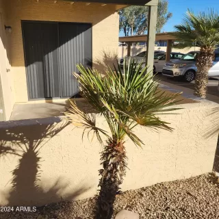 Photo #2: 6742188 Listing