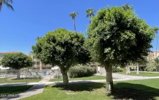 Photo #1: 6752091 Listing