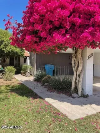 Photo #1: 6764618 Listing 