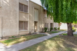 Photo #1: 6787382 Listing 