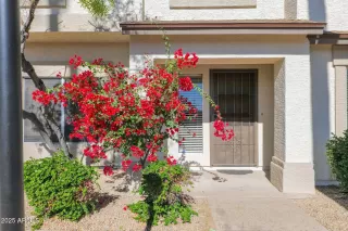 Photo #1: 6802051 Listing