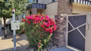 Photo #1: 6824649 Listing 