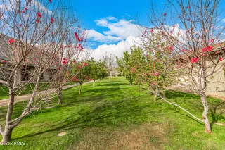 Photo #1: 6828384 Listing 