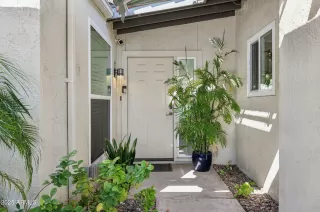 Photo #1: 6833966 Listing 