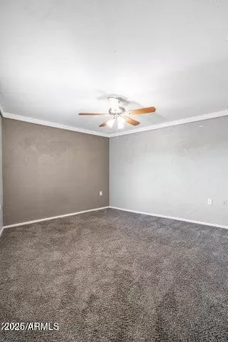 Photo #5: 6838359 Listing 