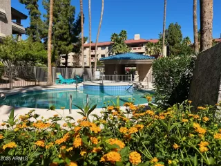 Photo #4: 6840483 Listing