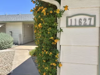 Photo #6: 6852947 Listing