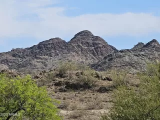 Photo #1: 6858466 Listing 