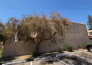 Photo #2: 6858884 Listing