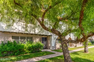 Photo #1: 6869971 Listing 