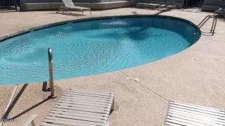 Photo #5: 6873021 Listing 