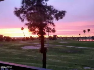 Photo #1: 6878410 Listing